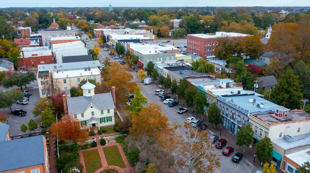 Aerial View of Businesses on Broad Street in Edenton North Carolina