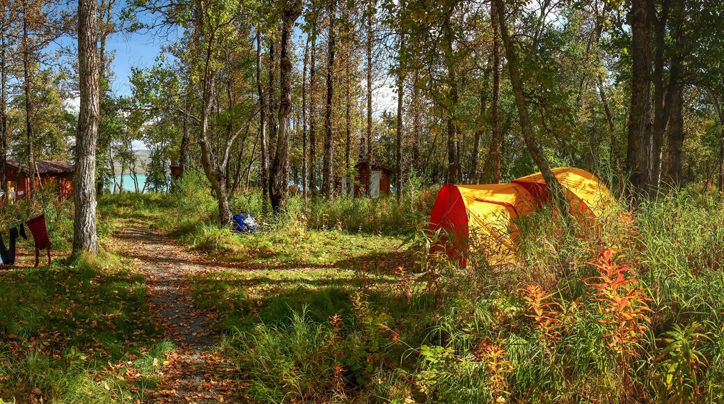 King Recreation Area