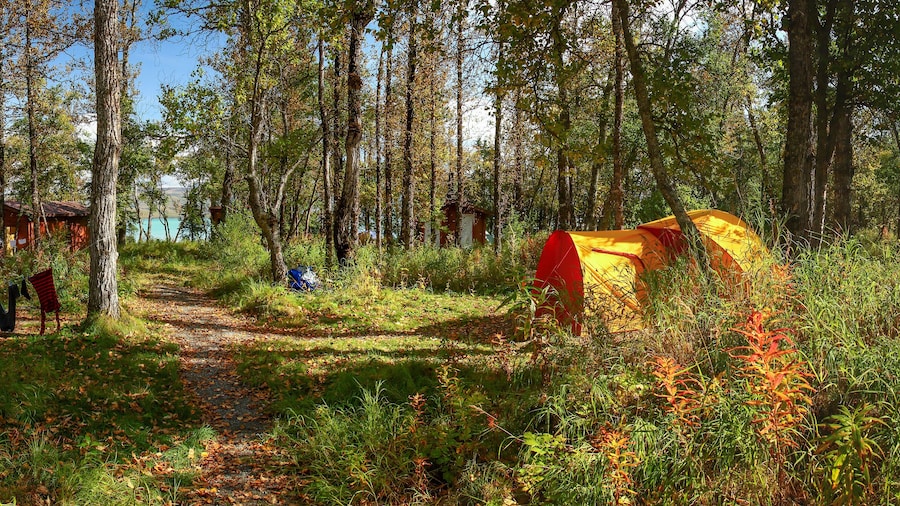 King Recreation Area