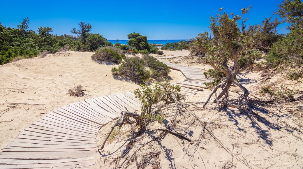 サウス アイランド