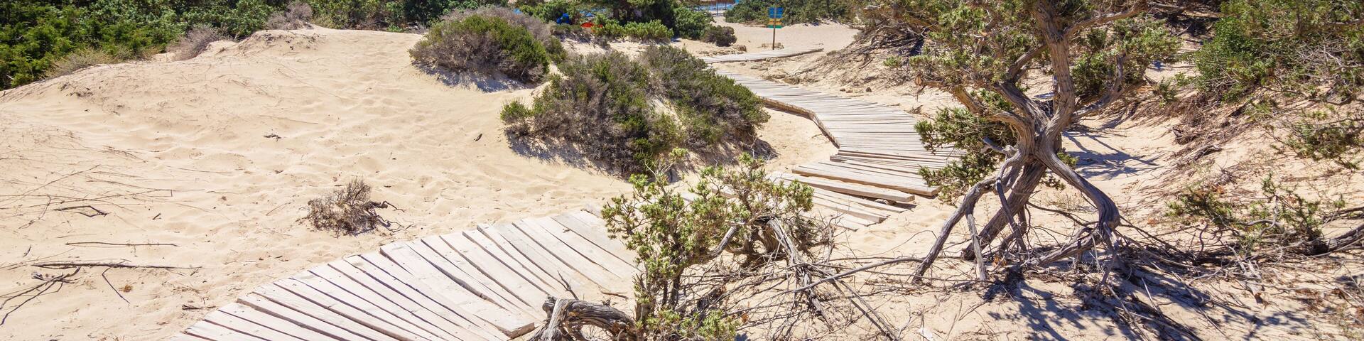 Una playa arenosa con un paseo marítimo de madera, rodeada de vegetación escasa y un cielo azul despejado.