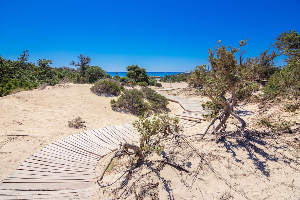 A sandy beach with a wooden boardwalk, surrounded by sparse vegetation and a clear blue sky.