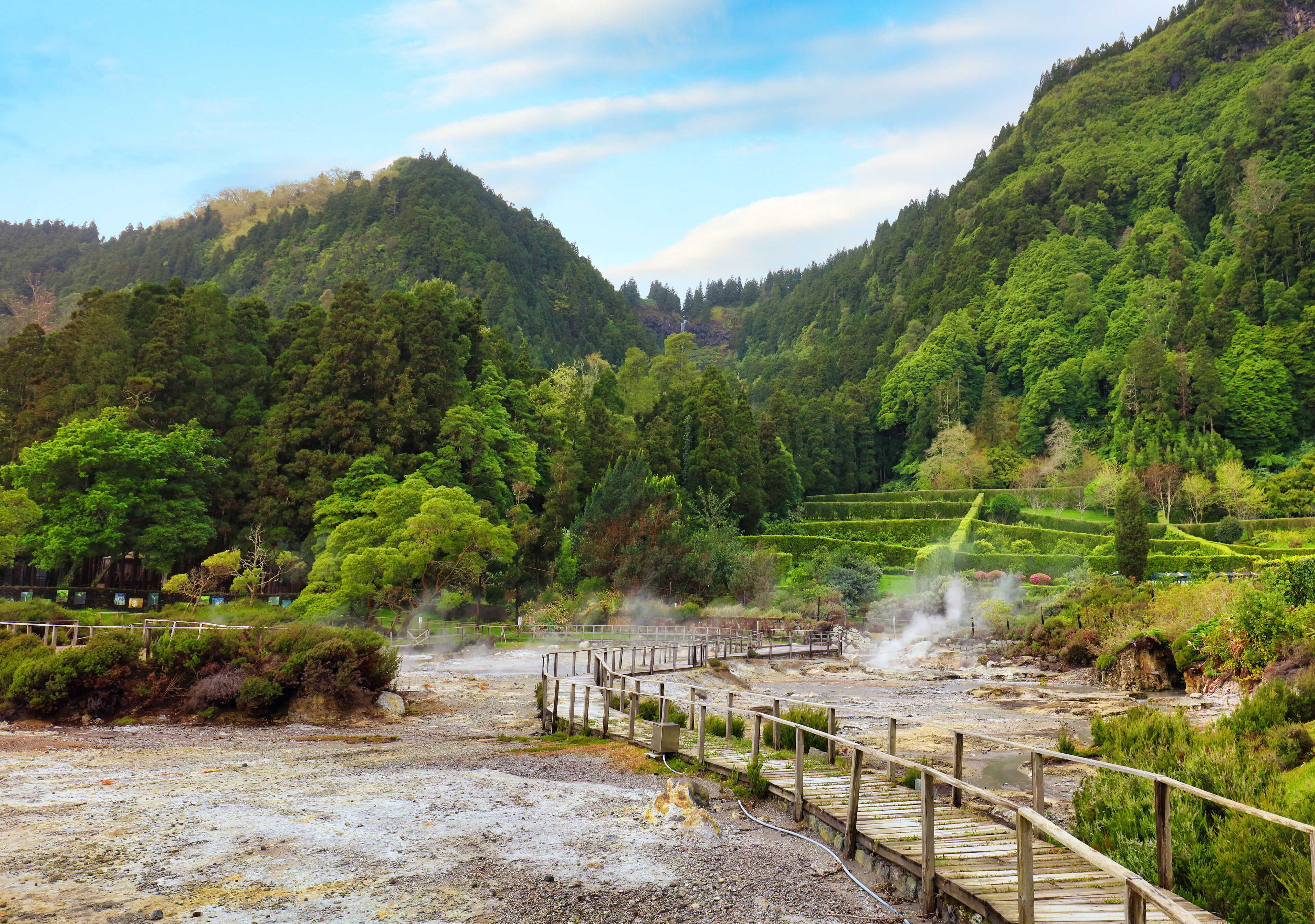 Hotsprings Of The Lake Furnas. Sao Miguel, Azores. Lagoa das Furnas Hotsprings. São Miguel, Azores, Portugal. Steam venting at Lagoa das Furnas hotsprings on Sao Miguel island in the Azores, Portugal.