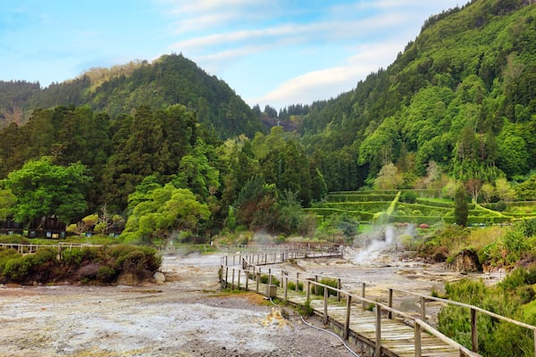 Hotsprings Of The Lake Furnas. Sao Miguel, Azores. Lagoa das Furnas Hotsprings. São Miguel, Azores, Portugal. Steam venting at Lagoa das Furnas hotsprings on Sao Miguel island in the Azores, Portugal.