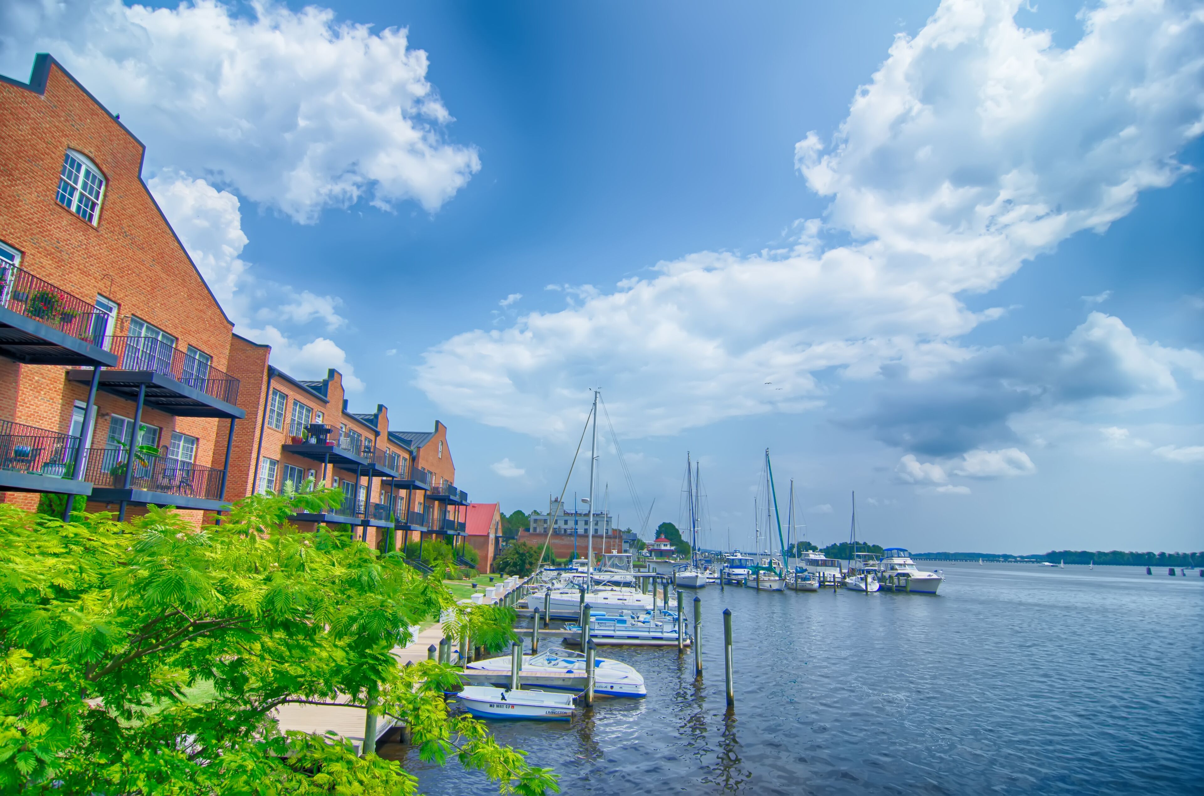 waterfront scenes in washington north carolina
