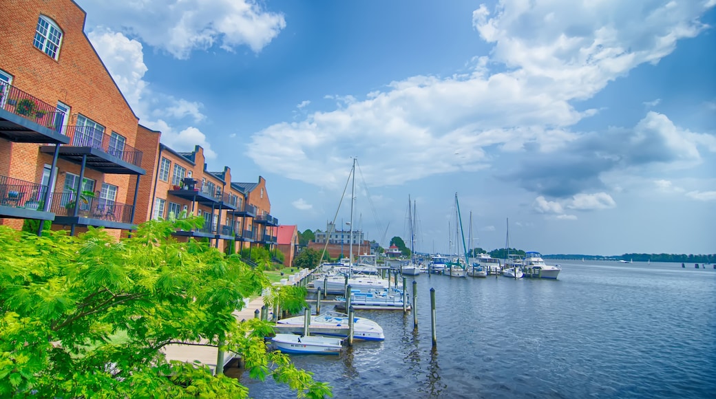 Washington Waterfront Docks