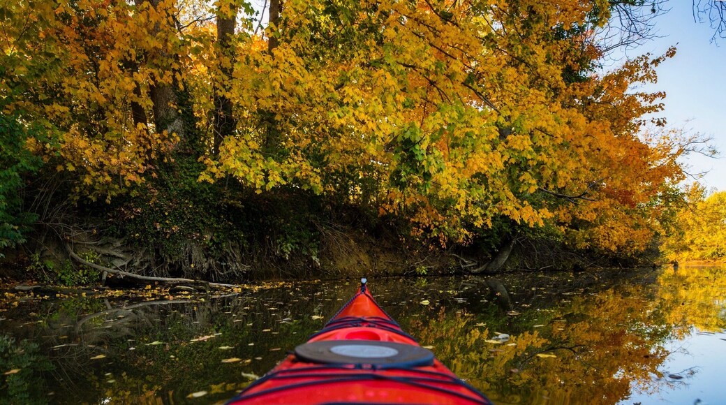 Paddling down Stoner creek during peak fall season.