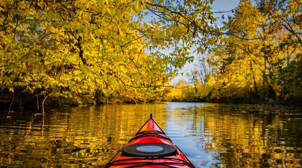 Found a new creek to paddle down. It's a great creek with overhanging oaks and walnuts!