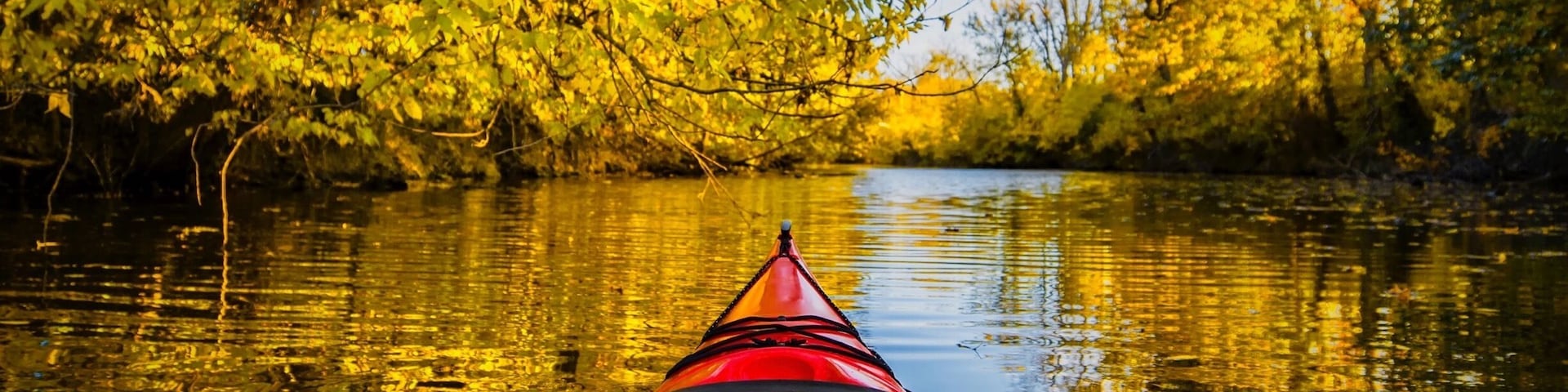 Found a new creek to paddle down. It's a great creek with overhanging oaks and walnuts!