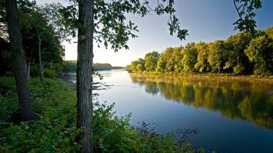 Early morning light on the shore of the Kankakee River in northern Illinois, USA.
