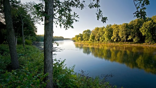 Early morning light on the shore of the Kankakee River in northern Illinois, USA.