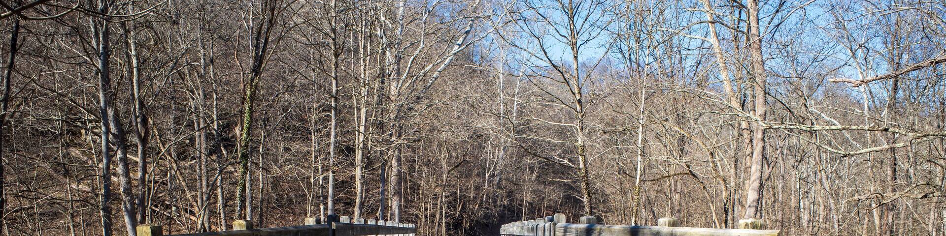 A wooden bridge with railings, surrounded by trees and a dirt path.