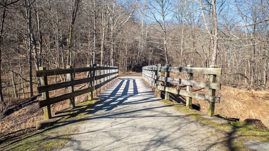A bridge with leading lines to the footpath on the Youghiogheny River Trail at Cedar Creek Park, Westmoreland County, Pennsylvania.