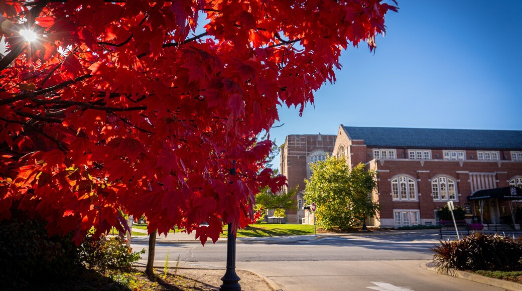 ลาฟาแยตตะวันออก