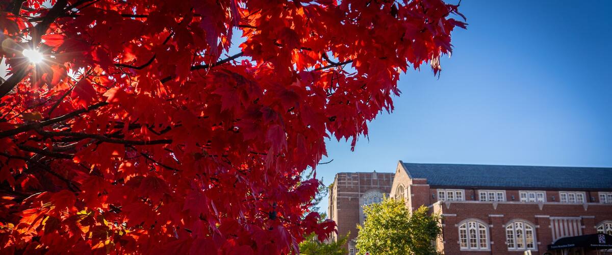 Red leaves against the Purdue University in autumn in West Lafayette, Indiana