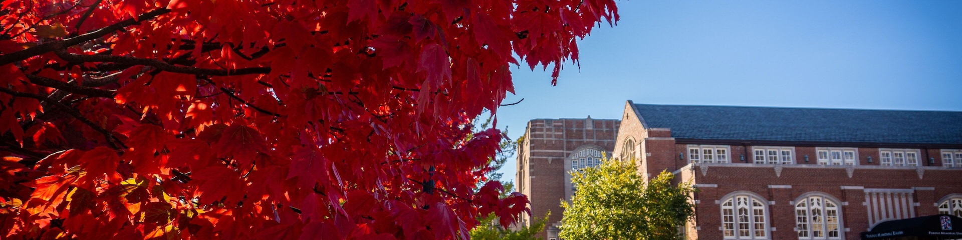 Red leaves against the Purdue University in autumn in West Lafayette, Indiana