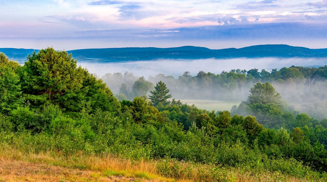 Foggy Morning in Elk County Pennsylvania