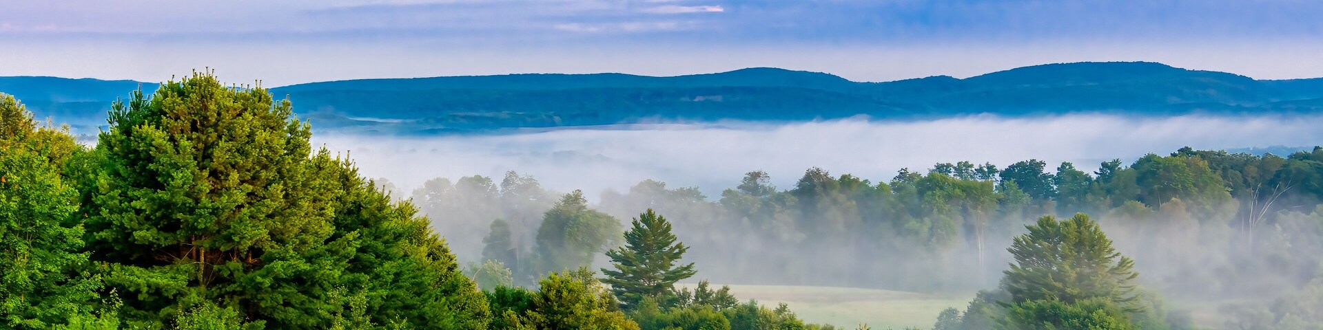 Foggy Morning in Elk County Pennsylvania