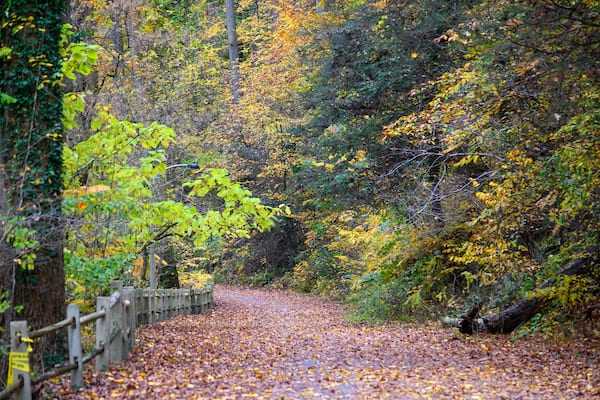 Wissahicken Valley Park during the Fall of 2023