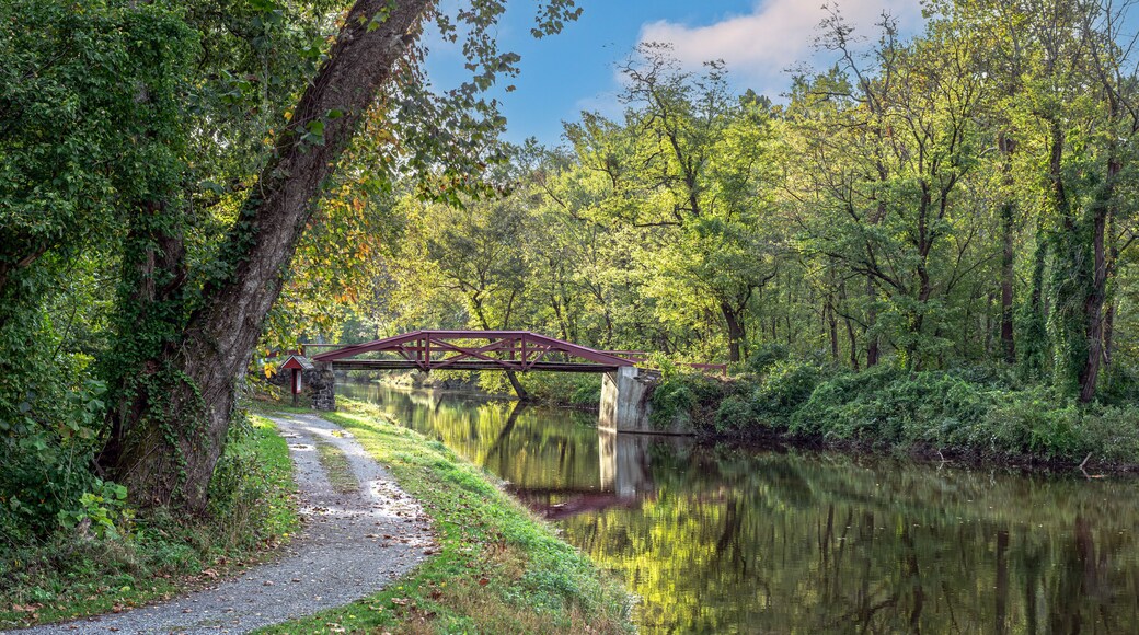 Trail on Canal