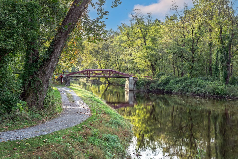 Un pont en bois enjambant une rivière paisible, entouré d’une végétation luxuriante et d’arbres.
