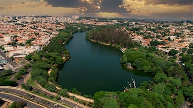 A river winding through a city with dense greenery and a distant urban skyline.