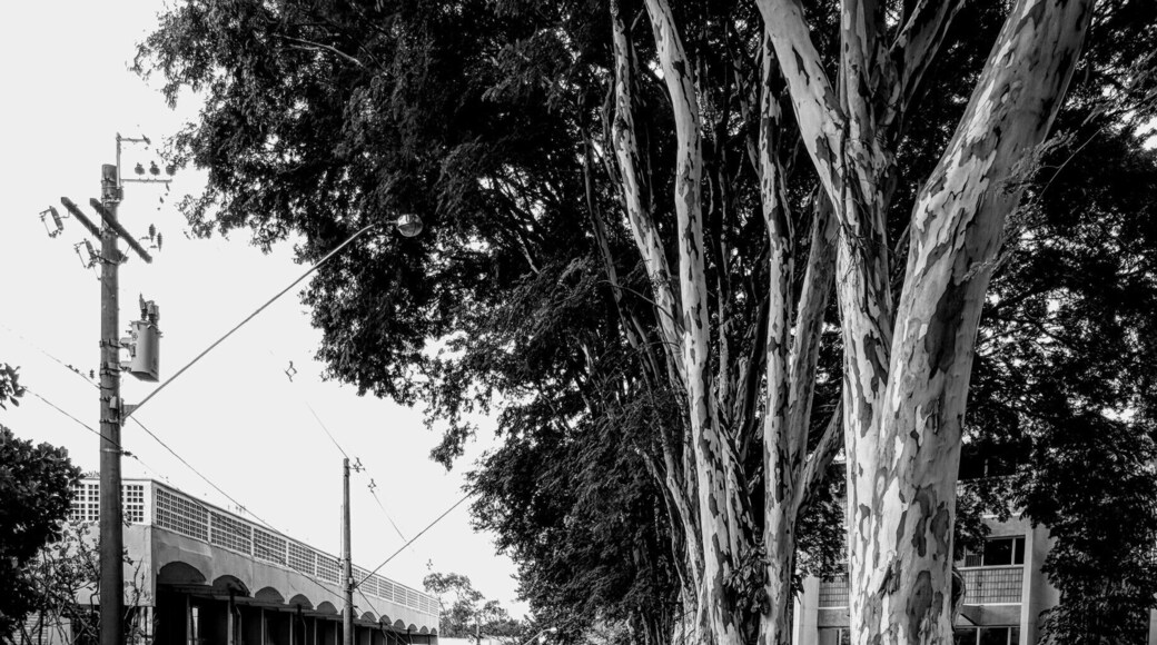 Best street for infinity composition