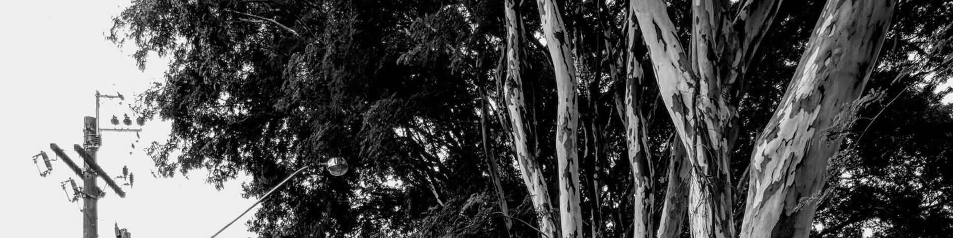 Best street for infinity composition