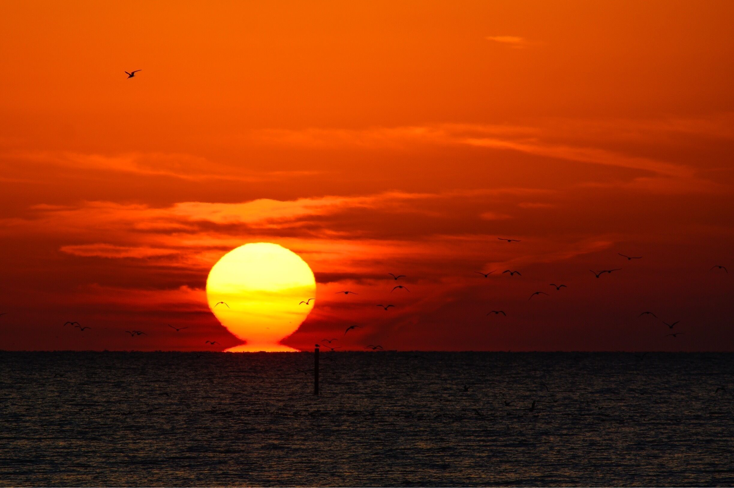 Sunrise on the beach