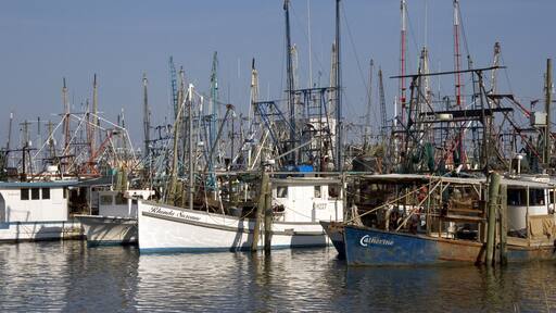 ํจ์คํฌ๋ฆฌ์คํฐ์