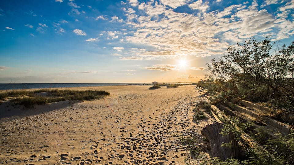A beach with footprints, grass, and a wooden fence.