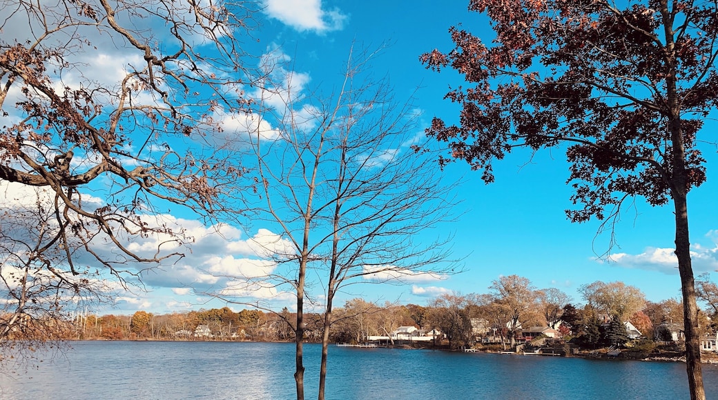 Love long walks around the pond..