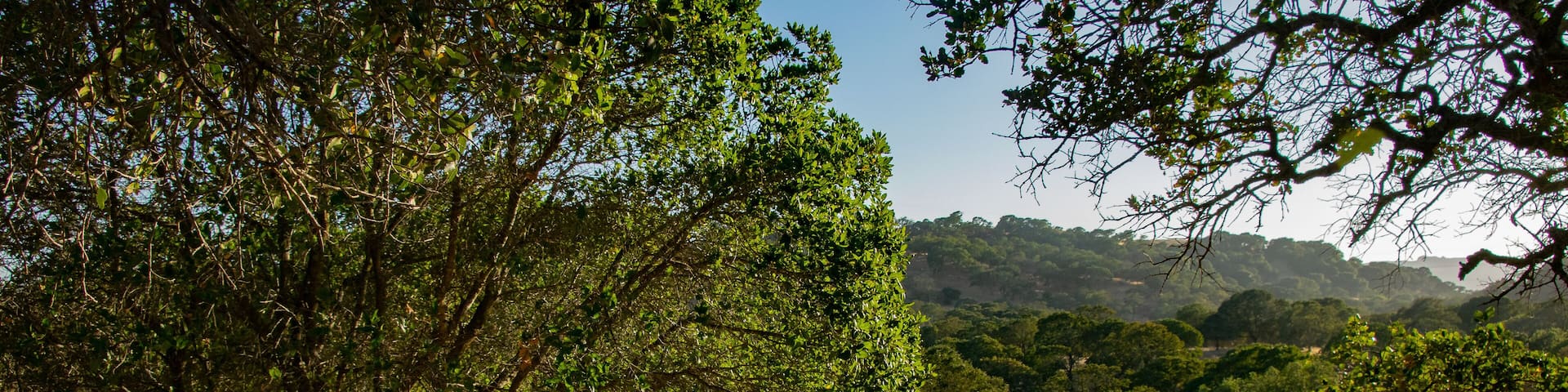 Scenic View at Rockville Regional Park
