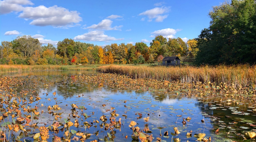W.W. Knight Nature Preserve