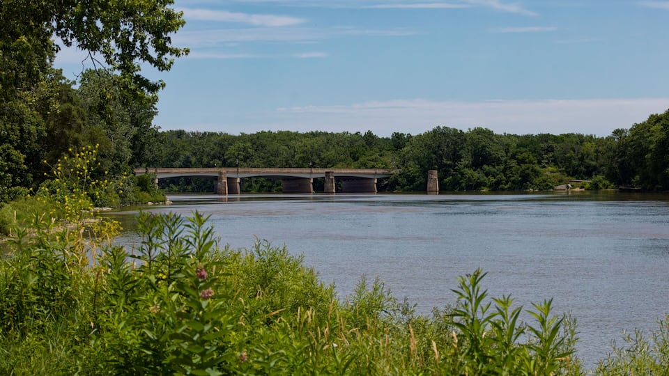 A river with a bridge, surrounded by greenery and trees.