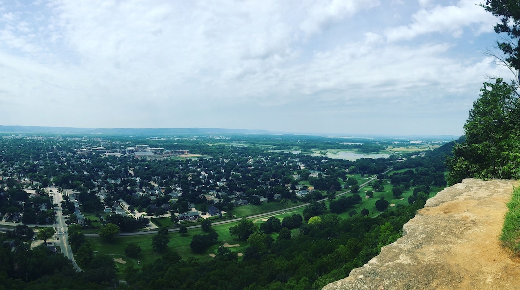 ไวเจนท์-โฮแกน