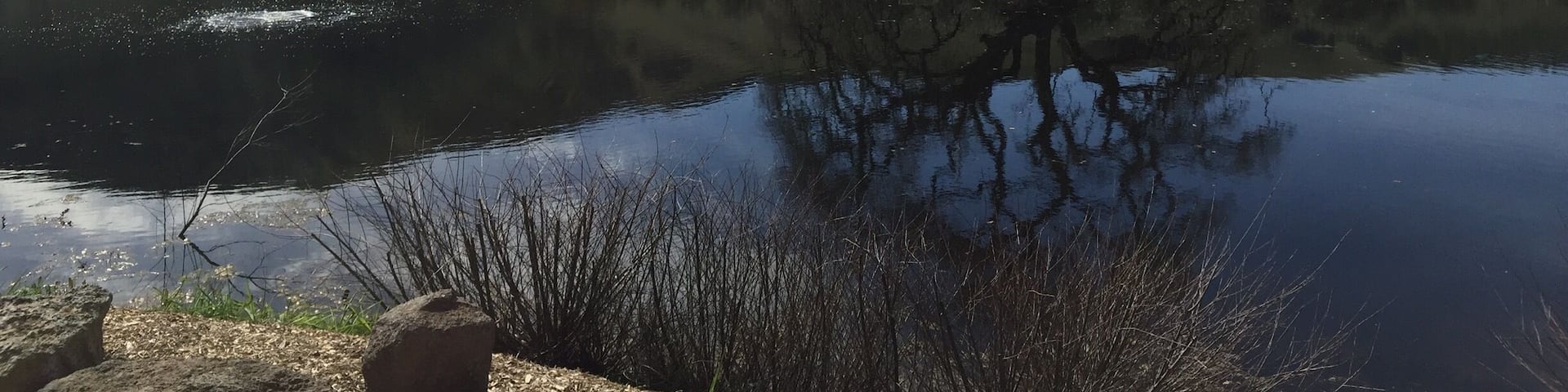 McEvoy Ranch is a must when touring this area. The Olive oil and wines are top quality and the location is peacefully nestled in the hills of West Petaluma. #LifeAtExpedia