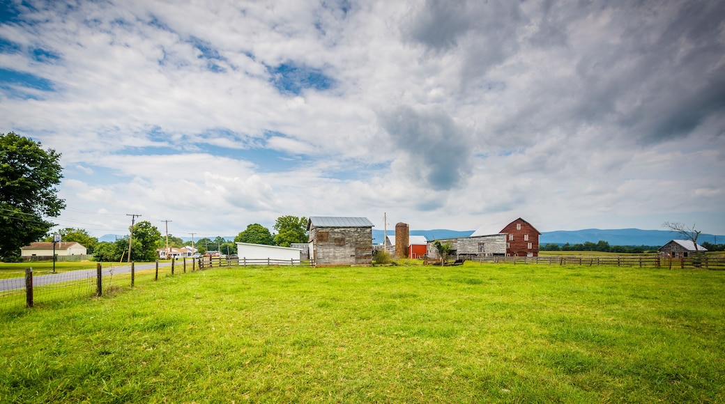 Farm in Elkton, in the rural Shenandoah Valley of Virginia.