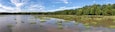 A bright blue sky with wispy clouds abov a panoramic landscape view of a Virginia wetland.