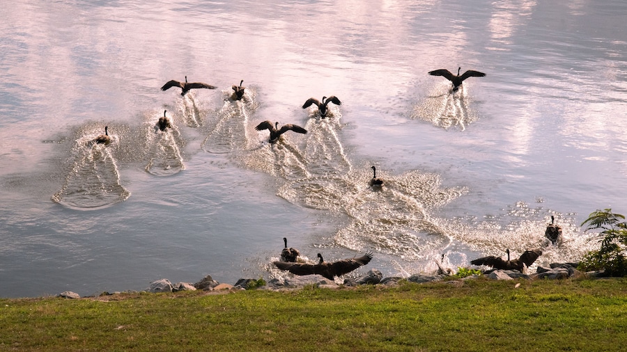 Rappahannock River Park