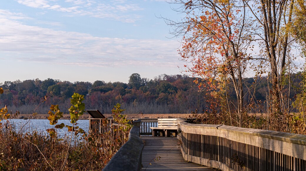 Boardwalk with Bench Over a River on an Autumn Morning