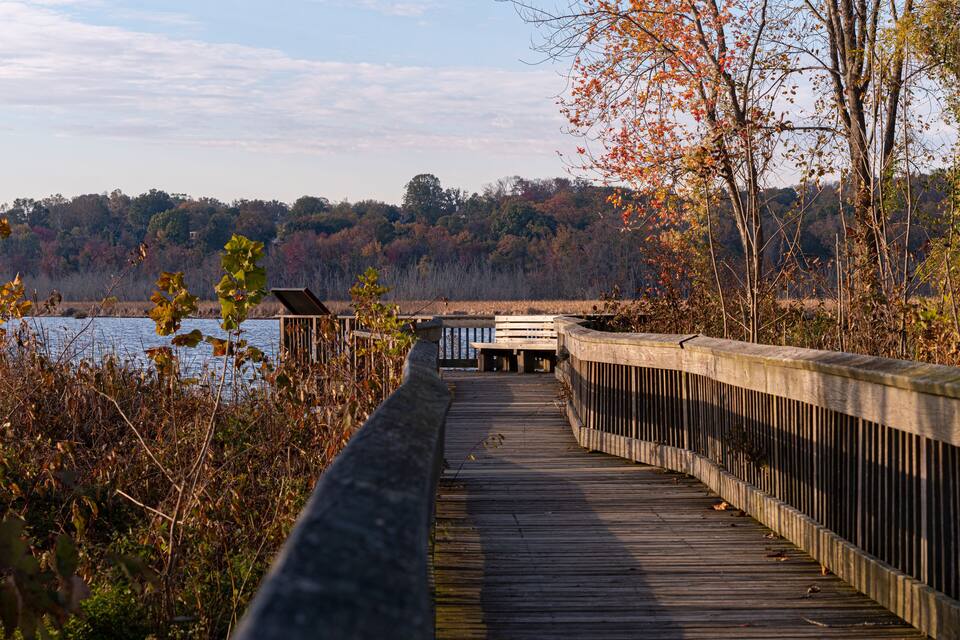 A wooden boardwalk leading to a dock by a lake, surrounded by autumn foliage and trees.