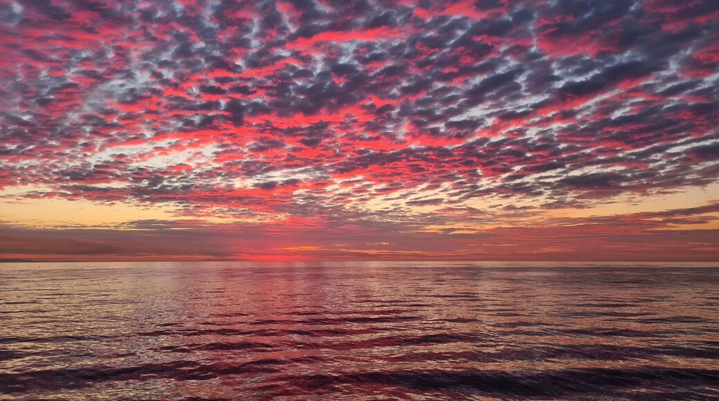 ออเรนจ์ฮิลล์