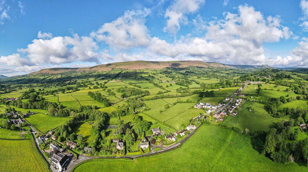 ๋ฐ๋ฆฌ๋จธํผ