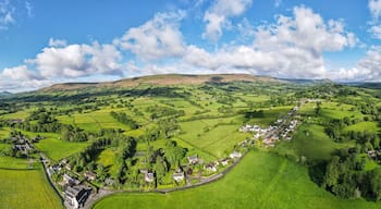 ๋ฐ๋ฆฌ๋จธํผ