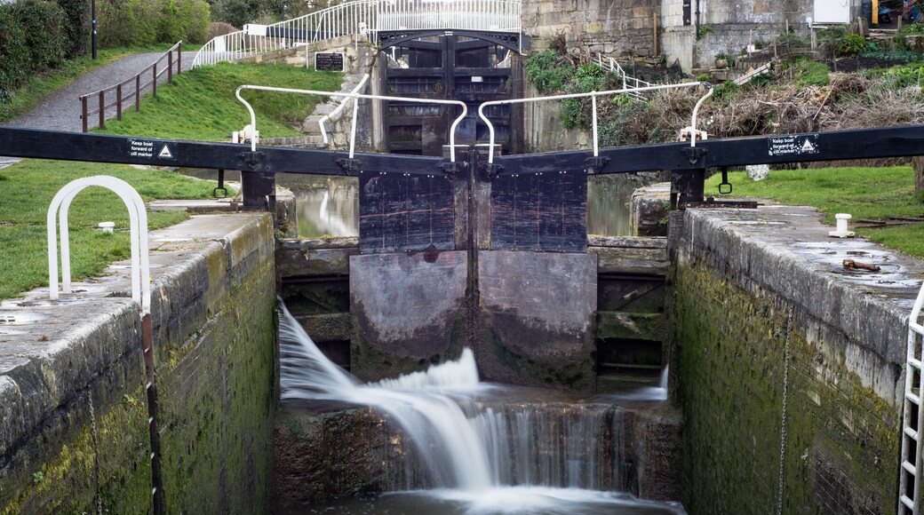 วิดคอมบ์