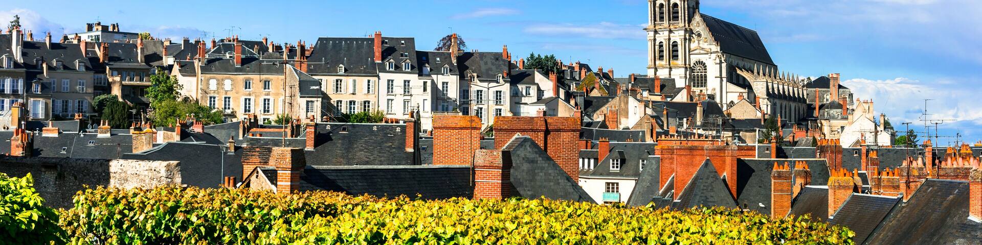 Landmarks and travel in France. Loire valley, medieval town Blois and famous royal castle