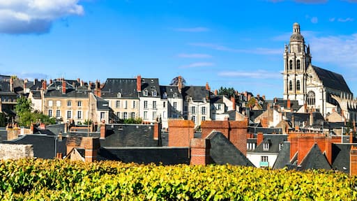 Landmarks and travel in France. Loire valley, medieval town Blois and famous royal castle