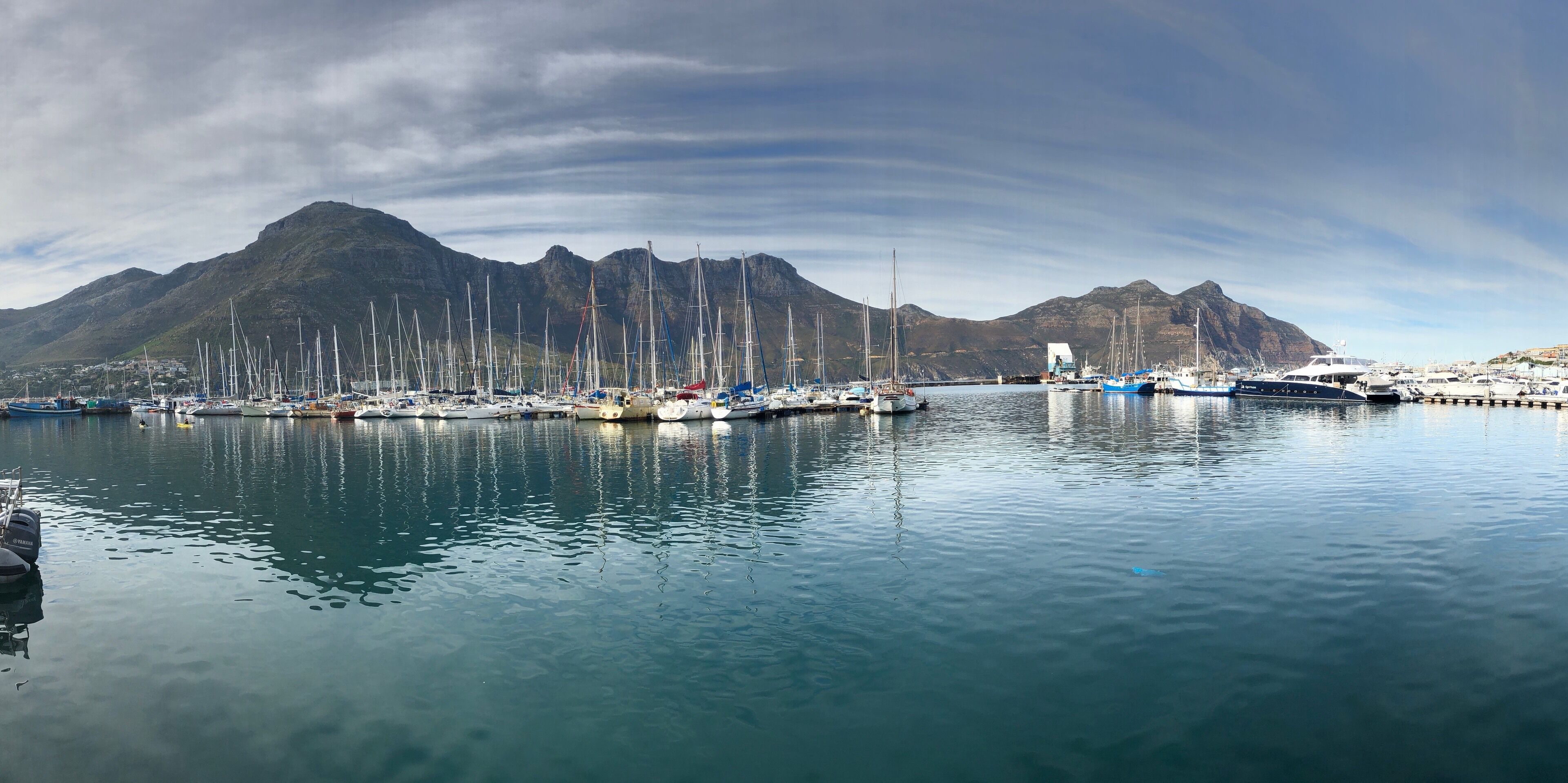 Seals, boats, beauty.