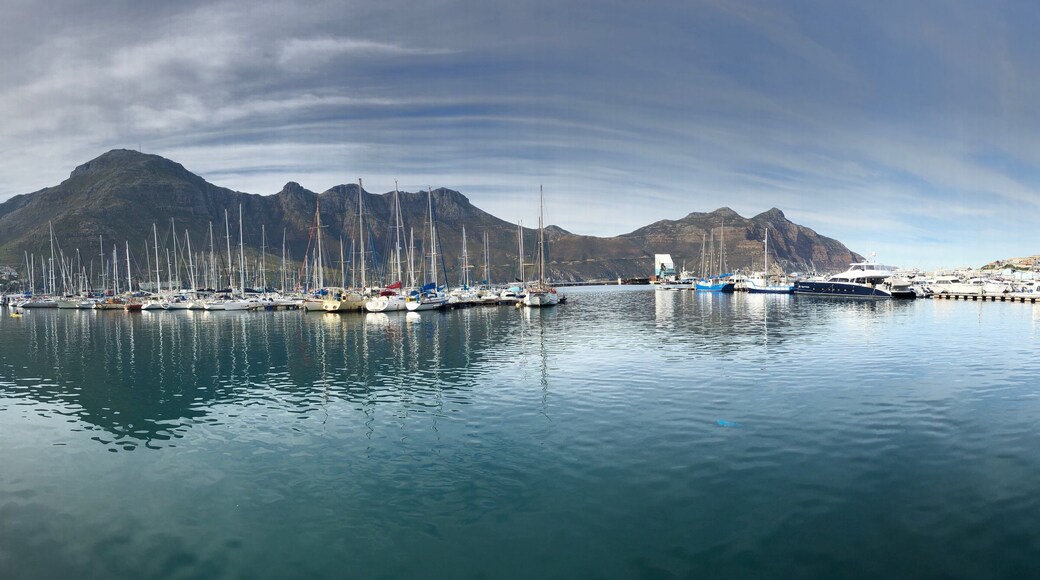Seals, boats, beauty.
